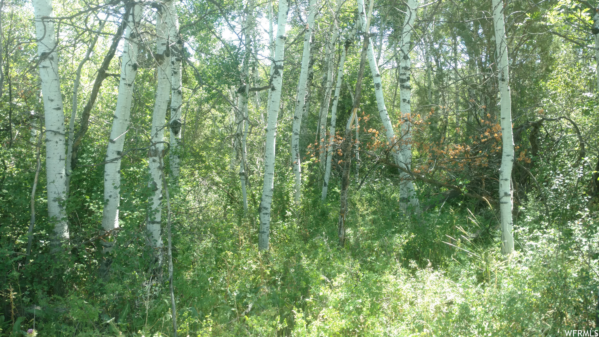 main property photo 16