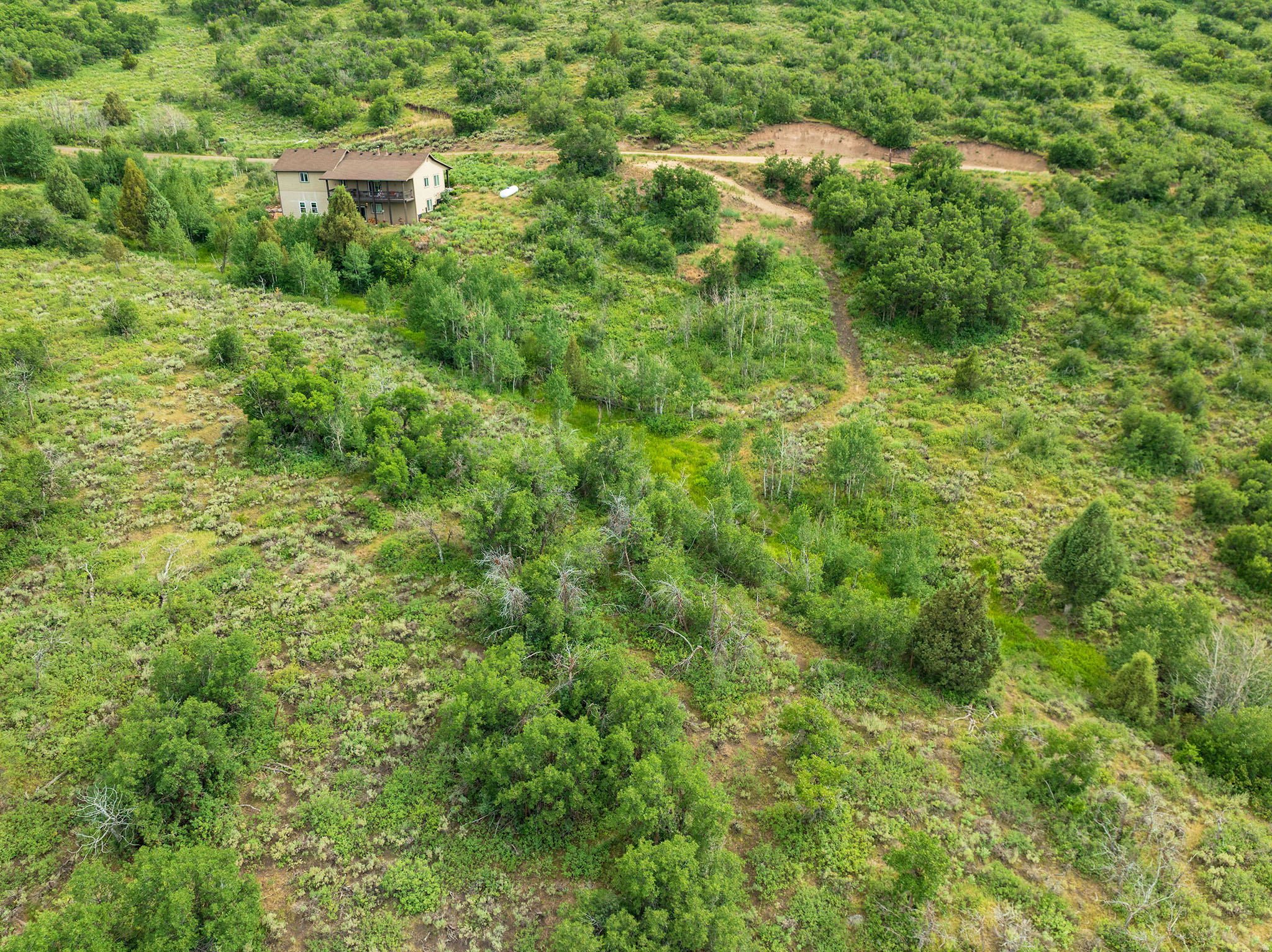 main property photo 33