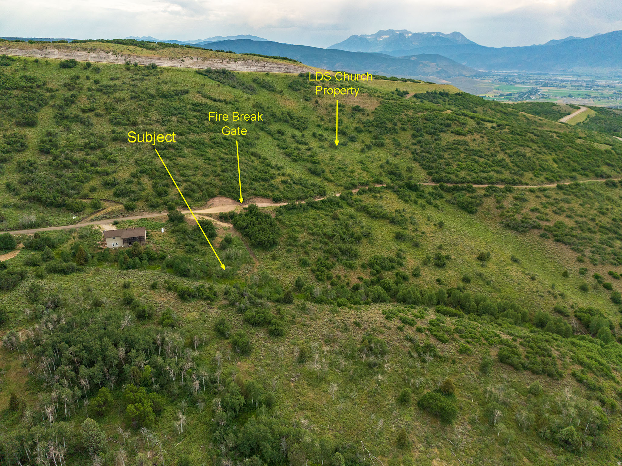 main property photo 42