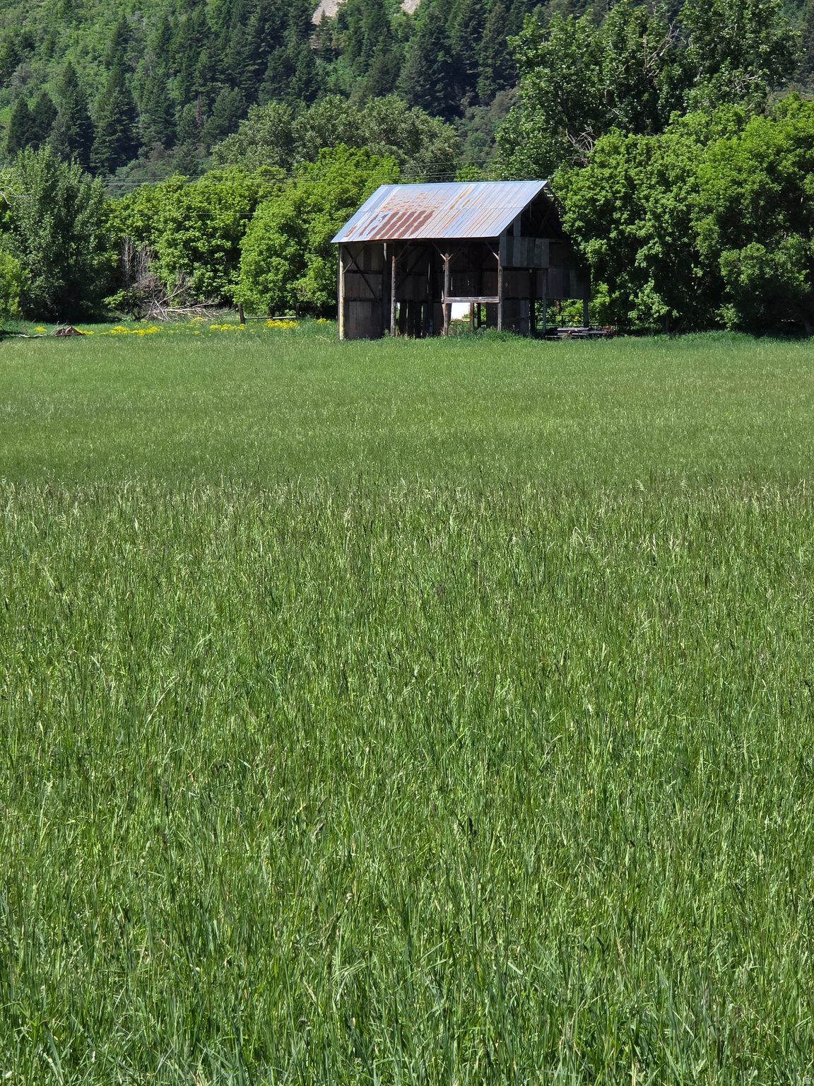 main property photo 12