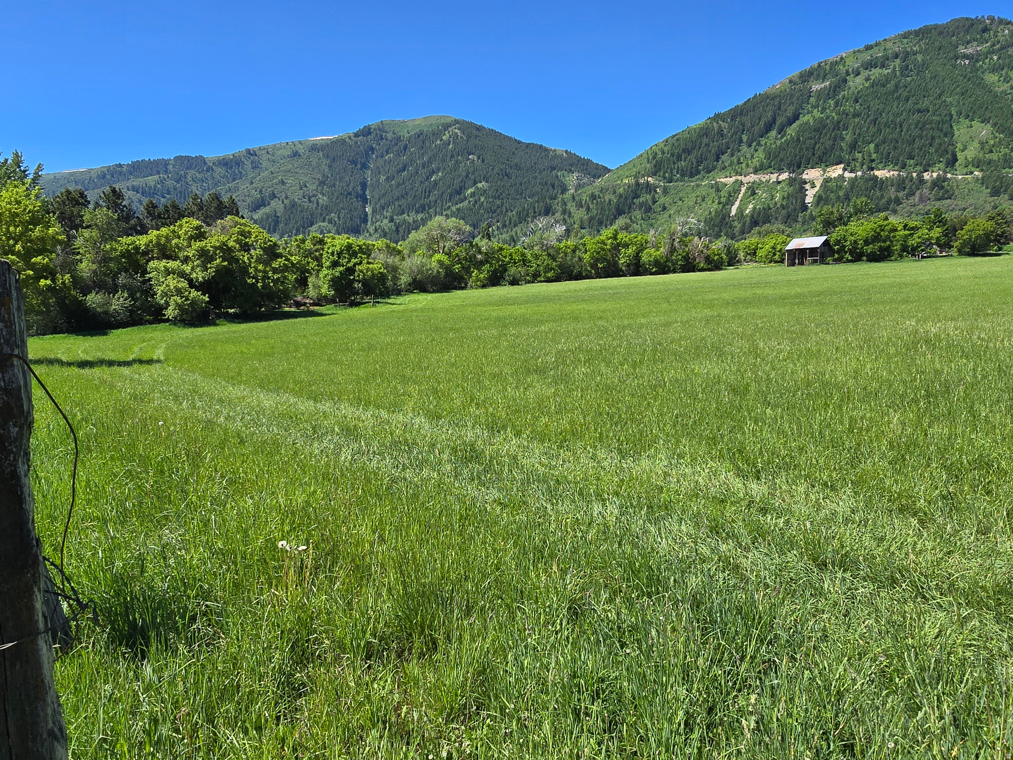 main property photo 6