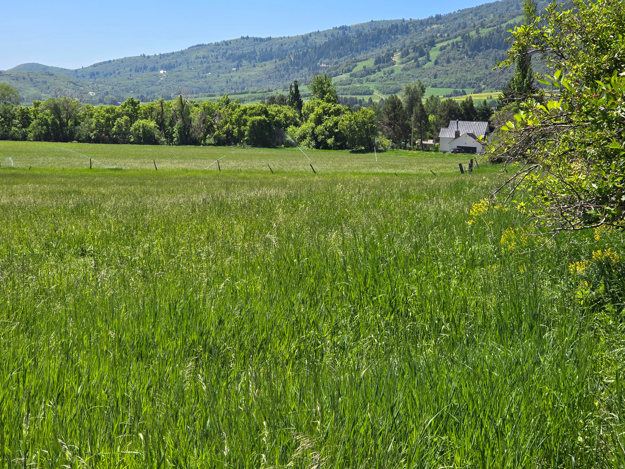 main property photo 7