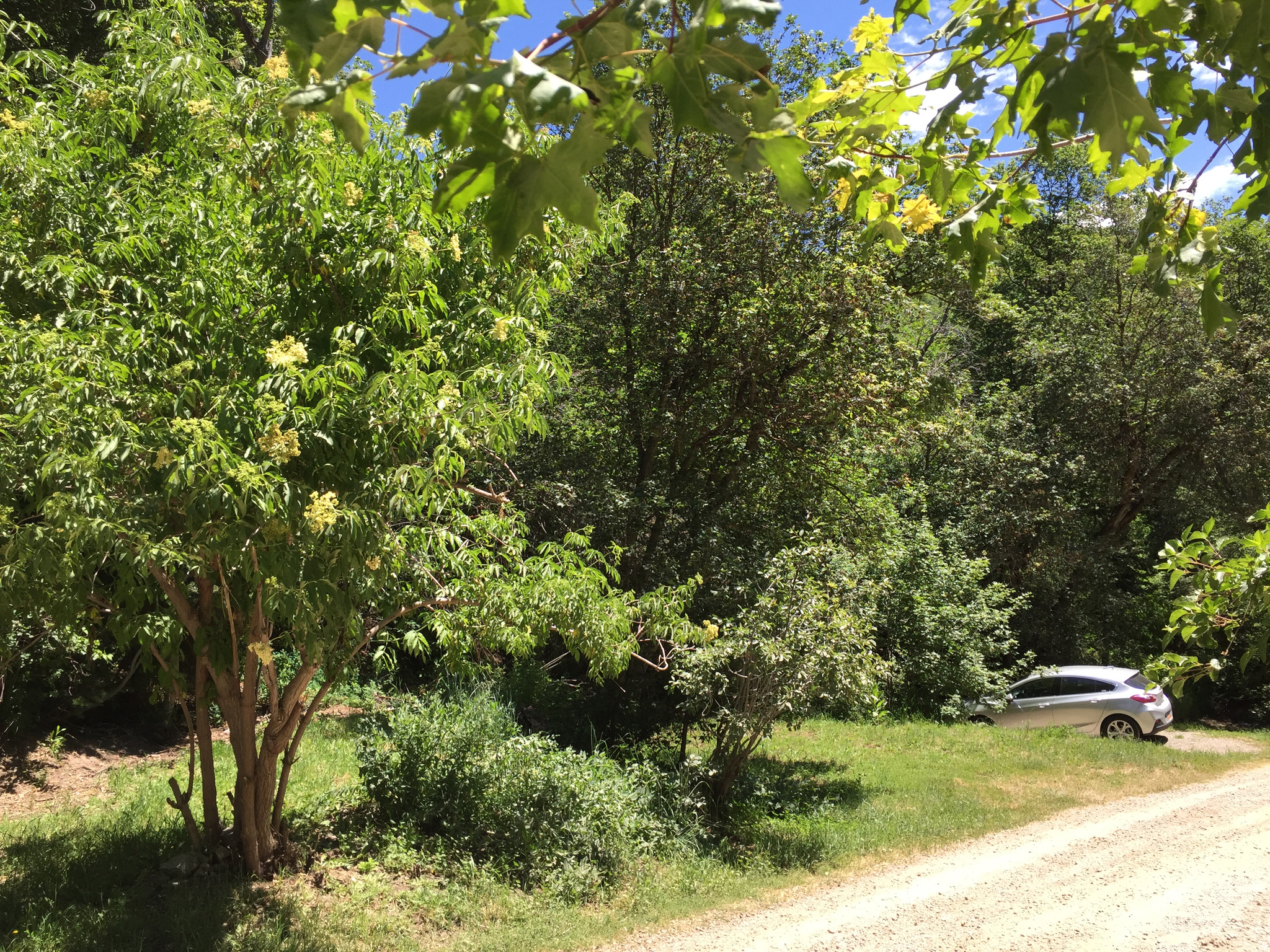 main property photo 15