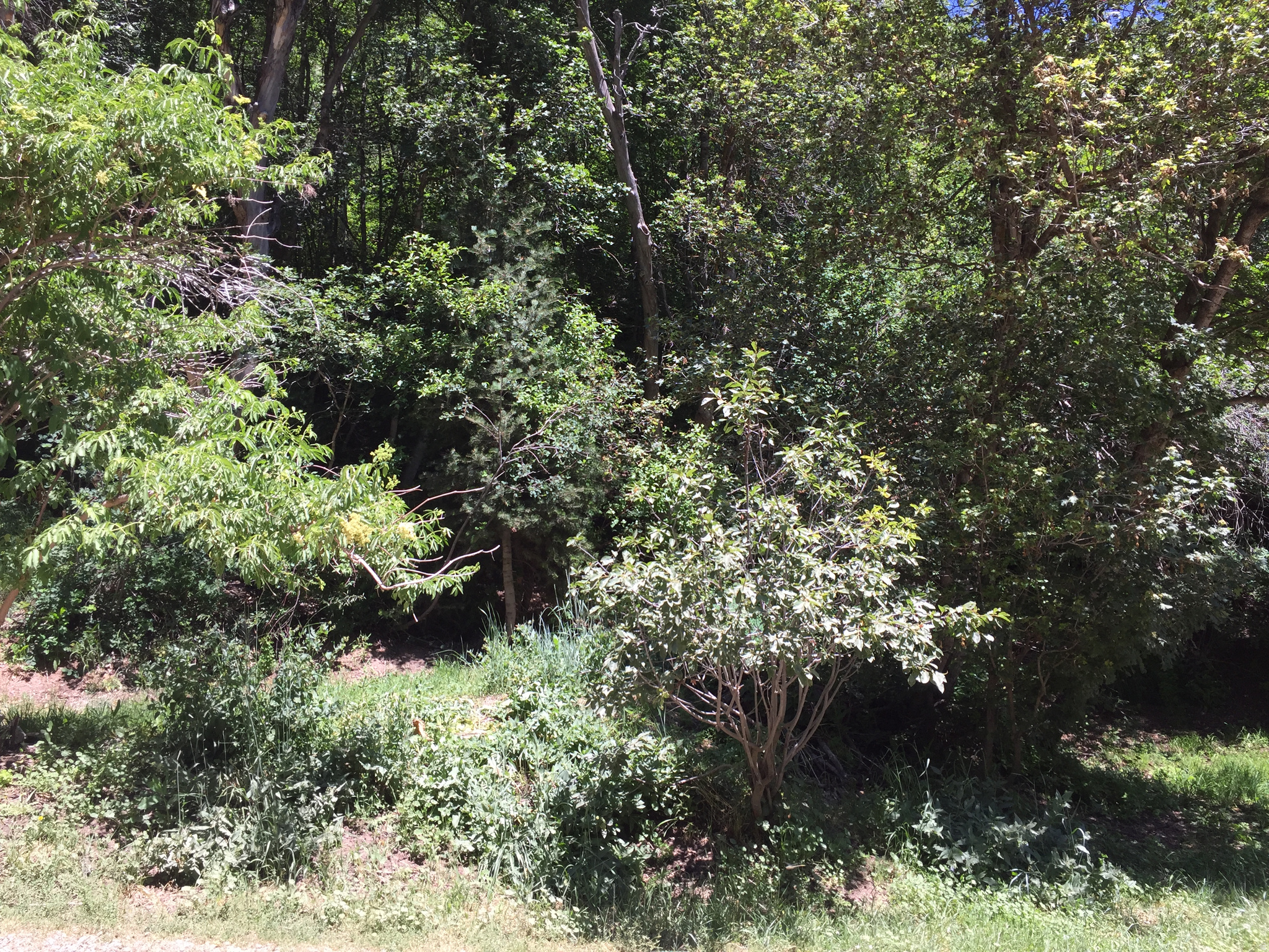 main property photo 19