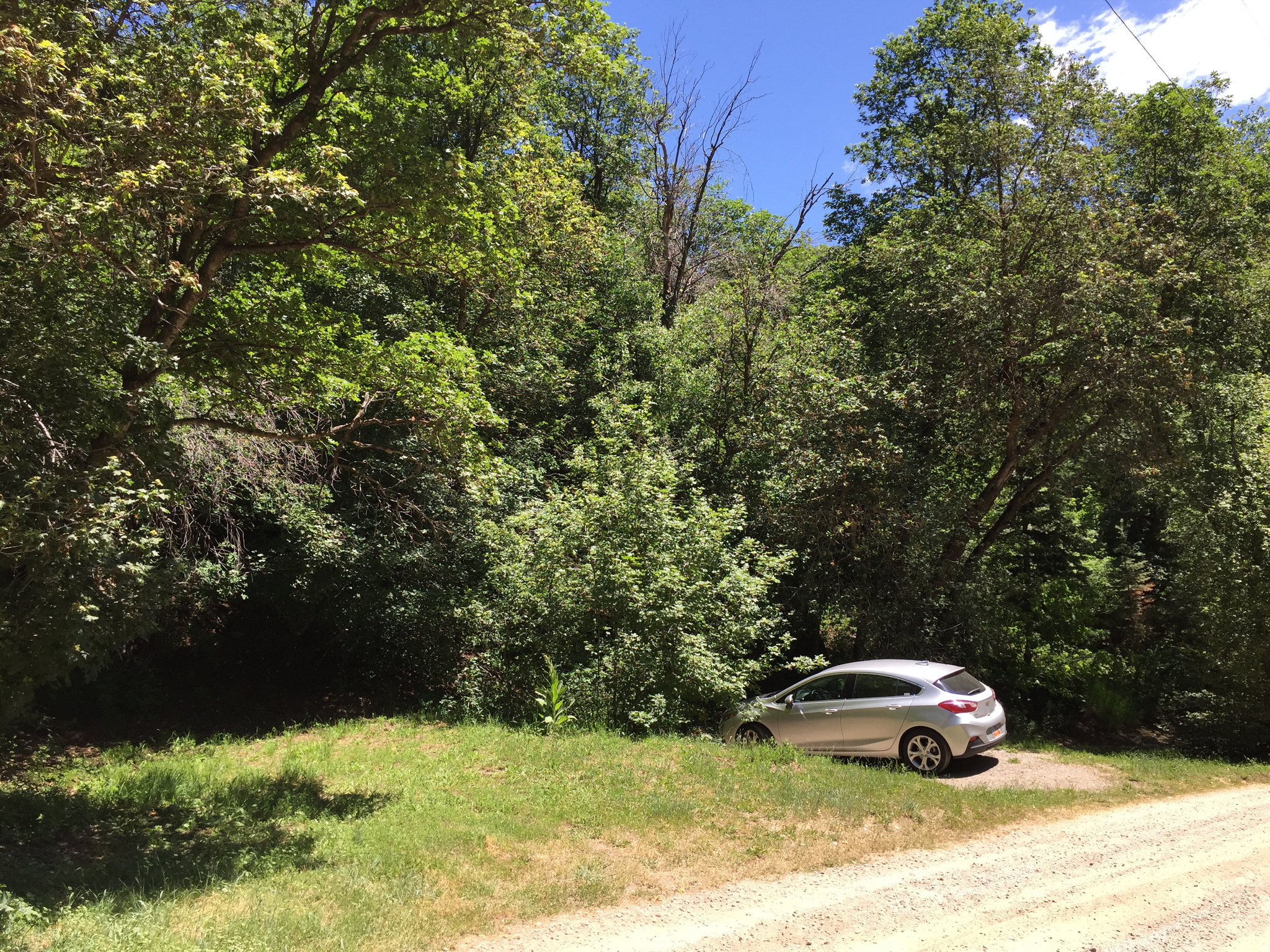 main property photo 20