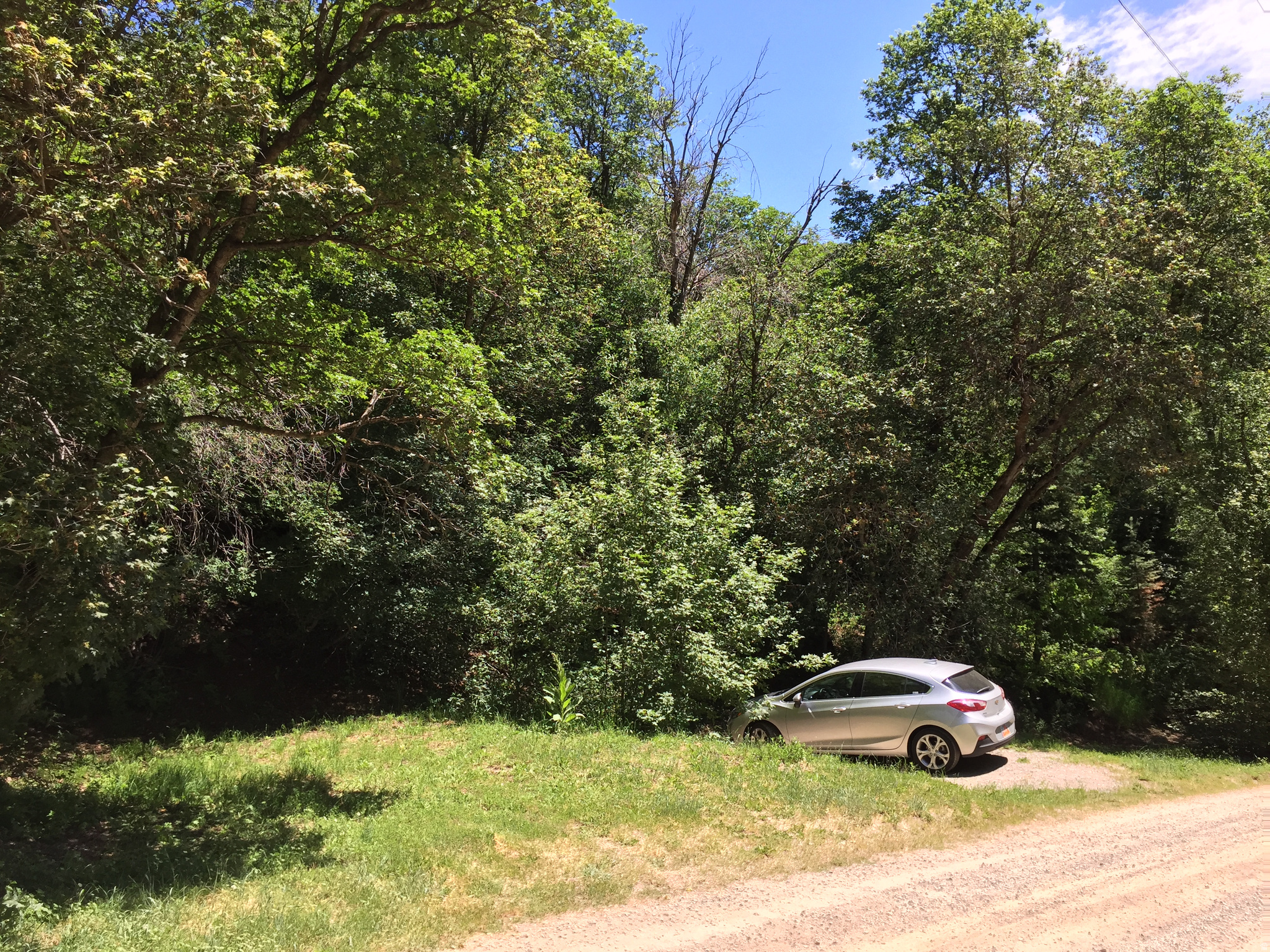 main property photo 21