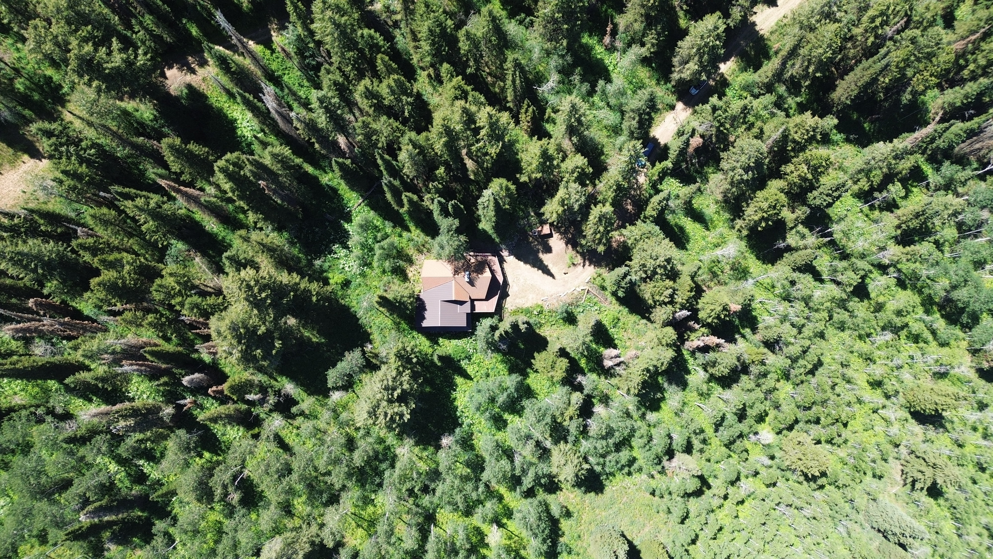 main property photo 37