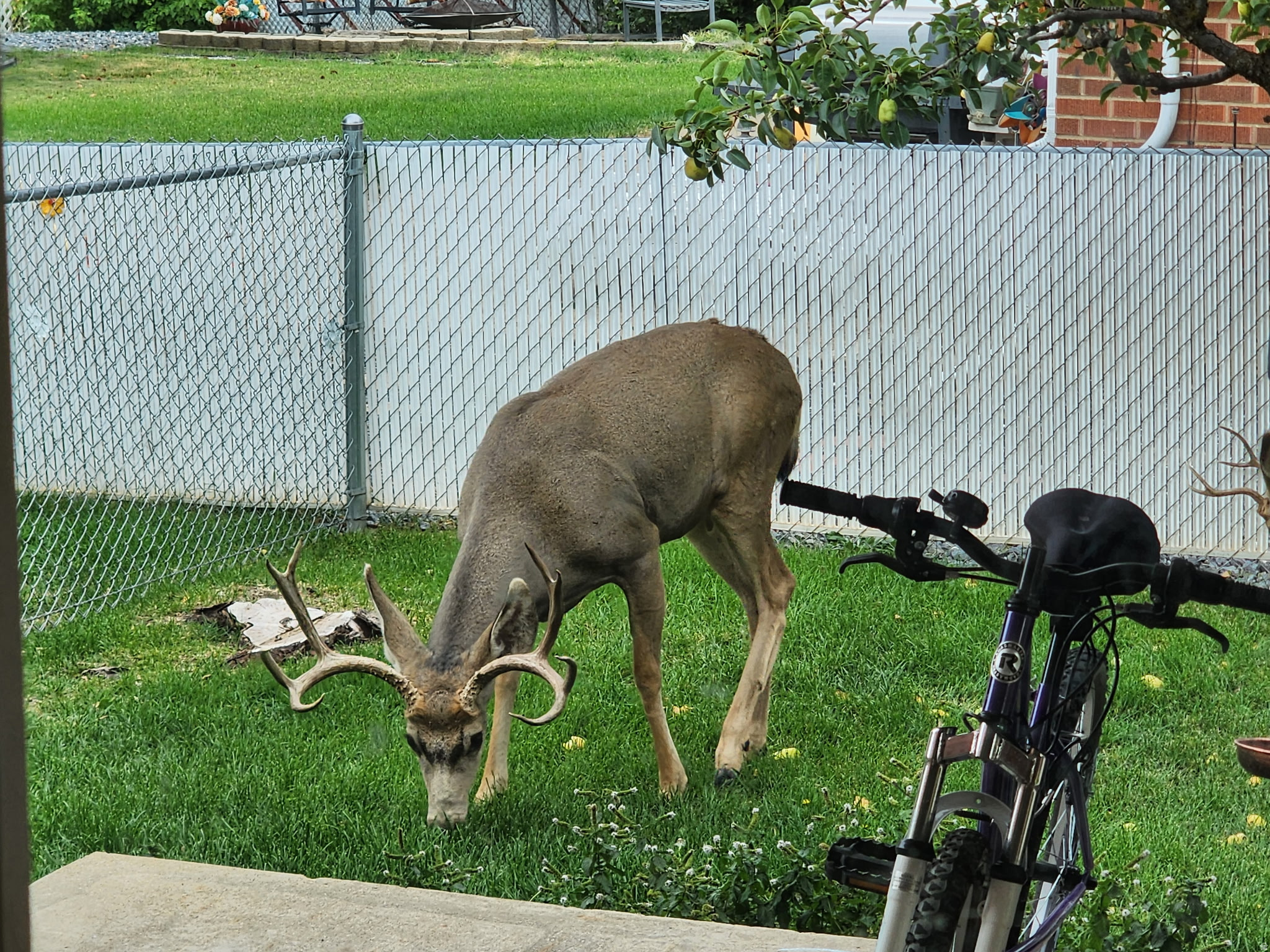 main property photo 26