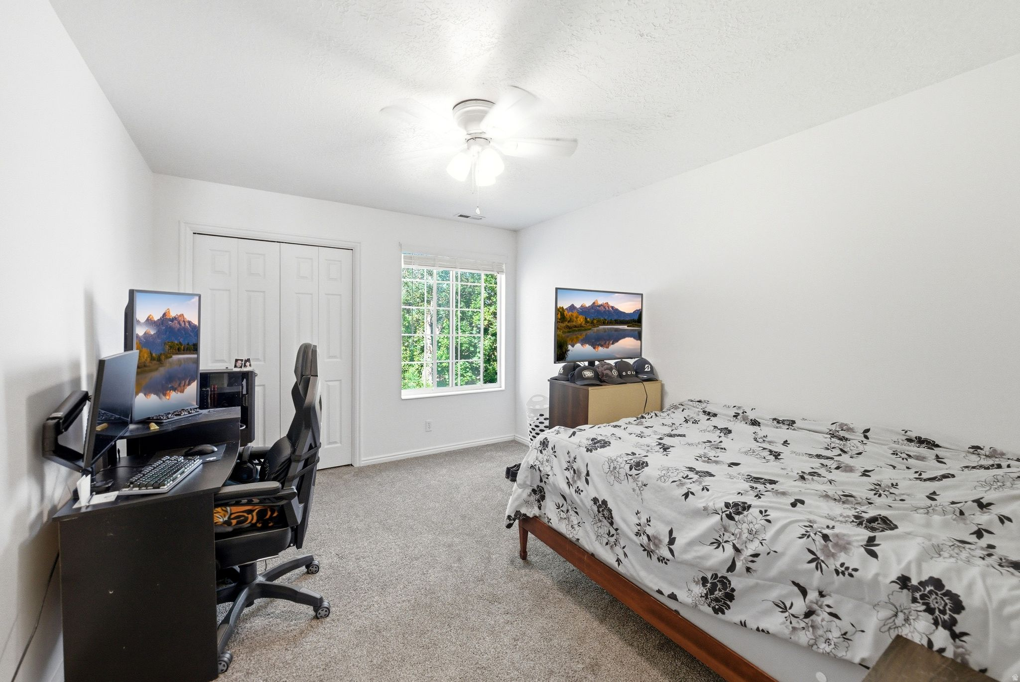 main property photo 62