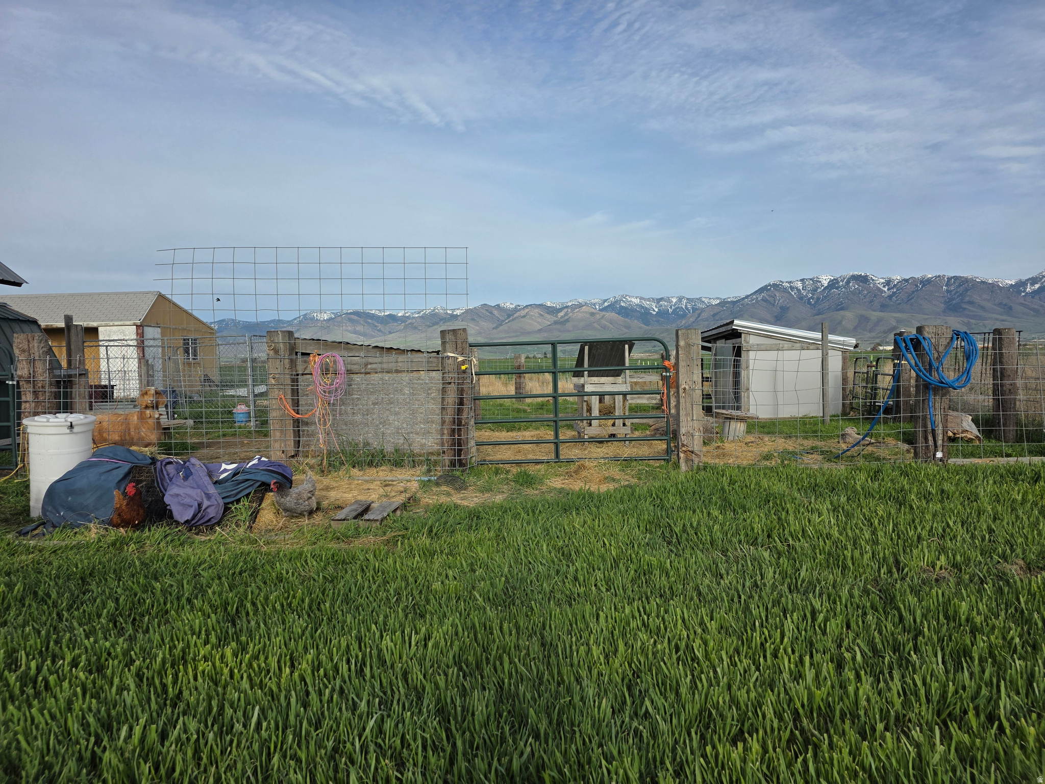 main property photo 38