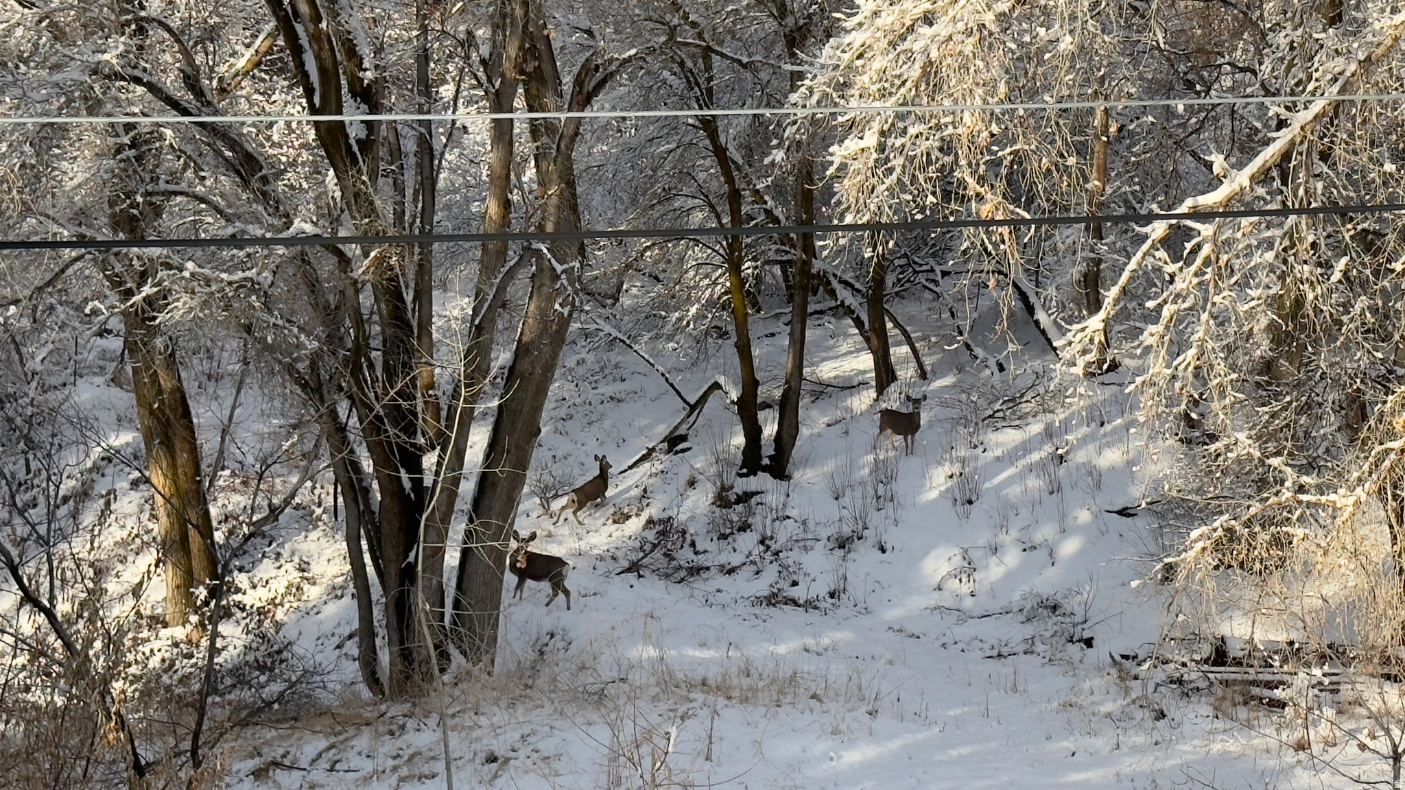 main property photo 56