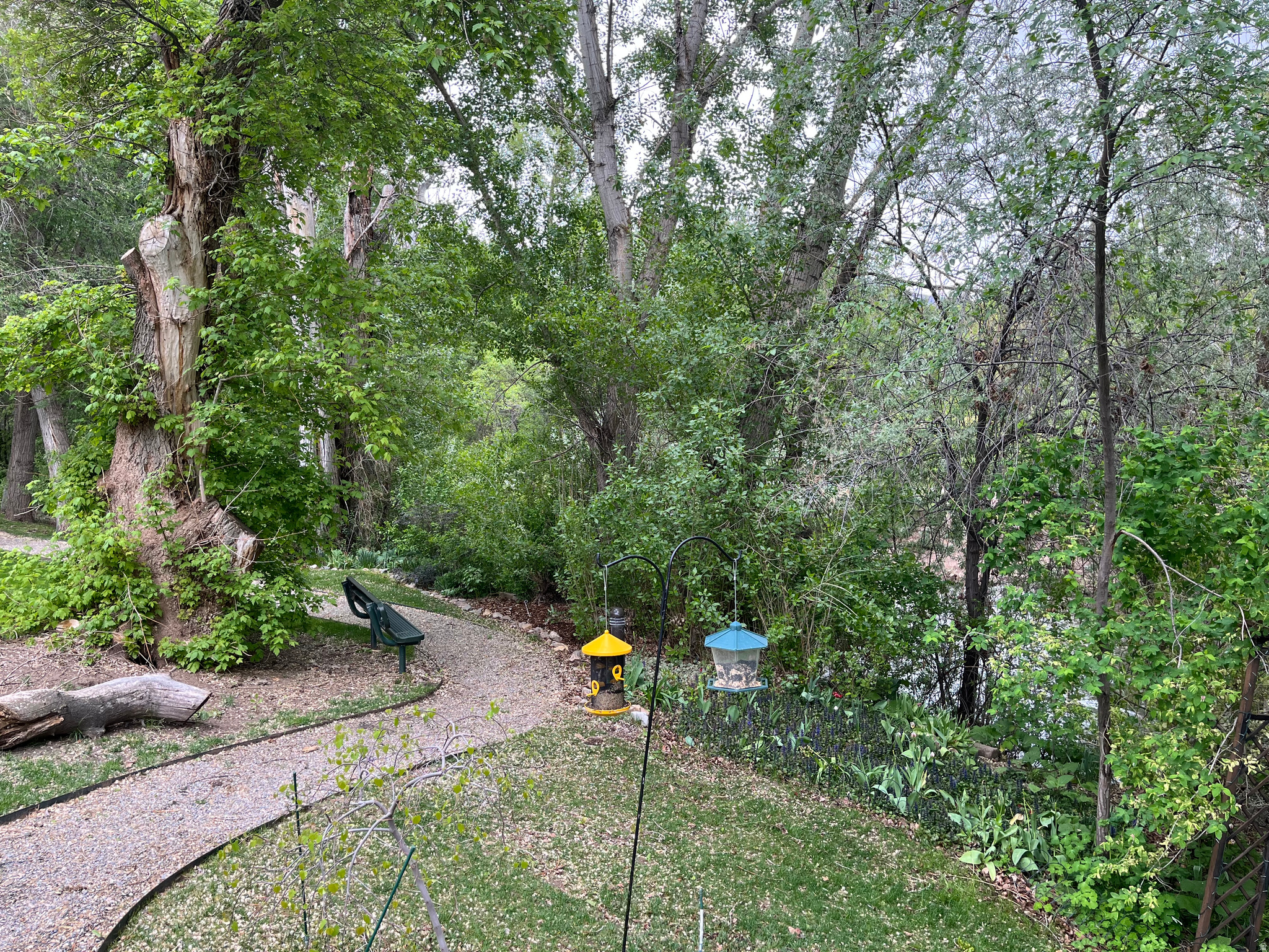 main property photo 36