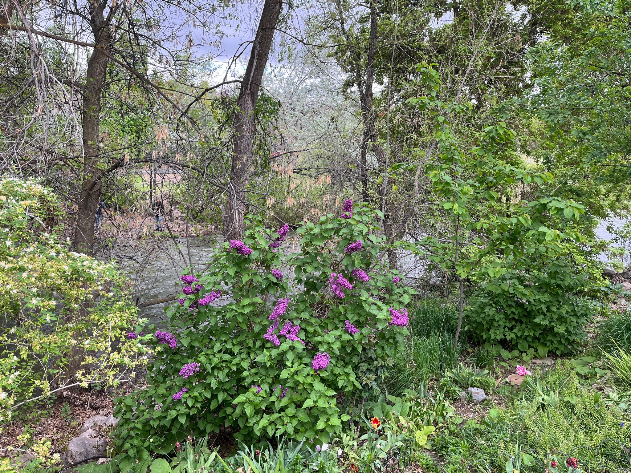 main property photo 39