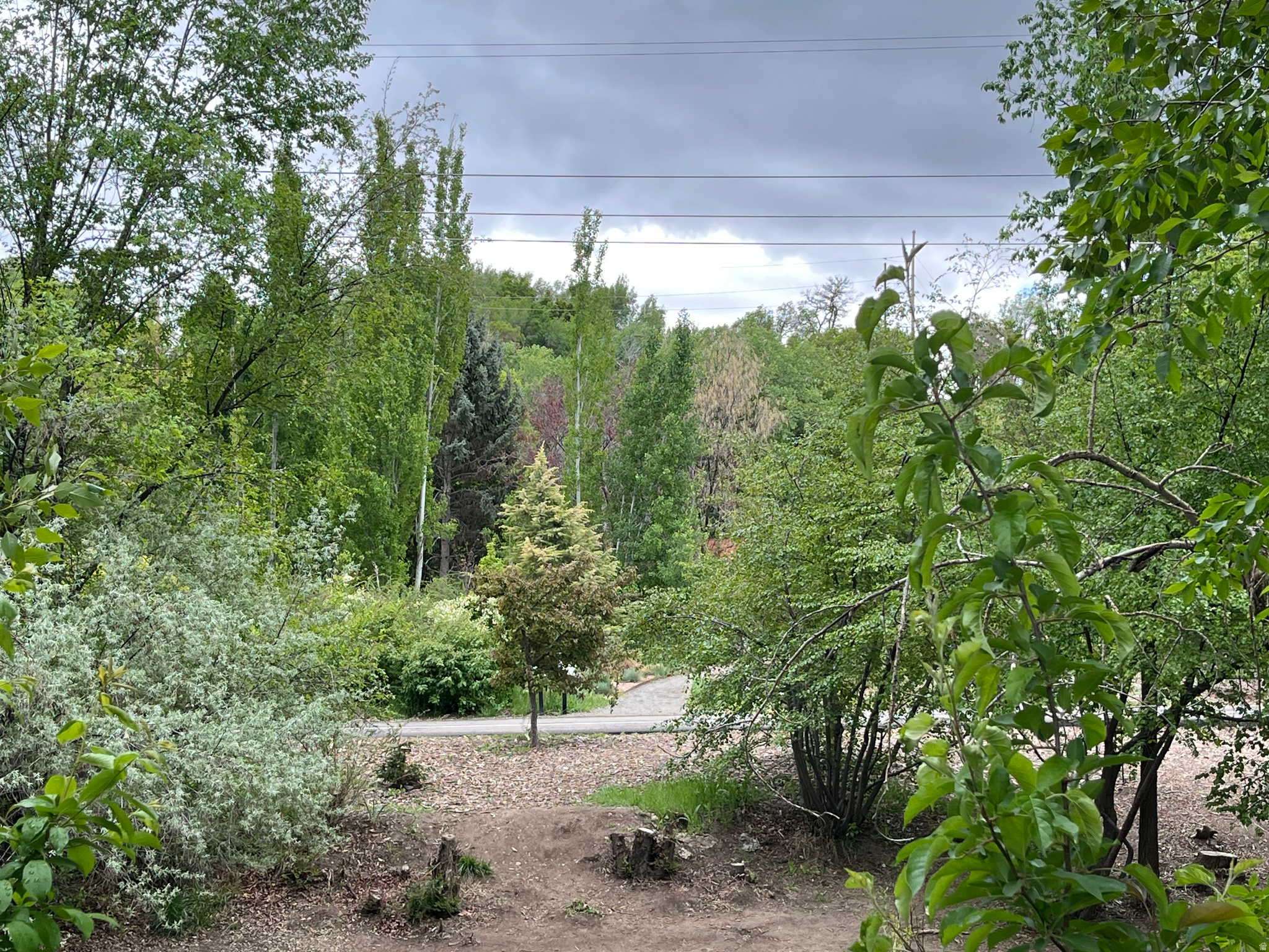 main property photo 40