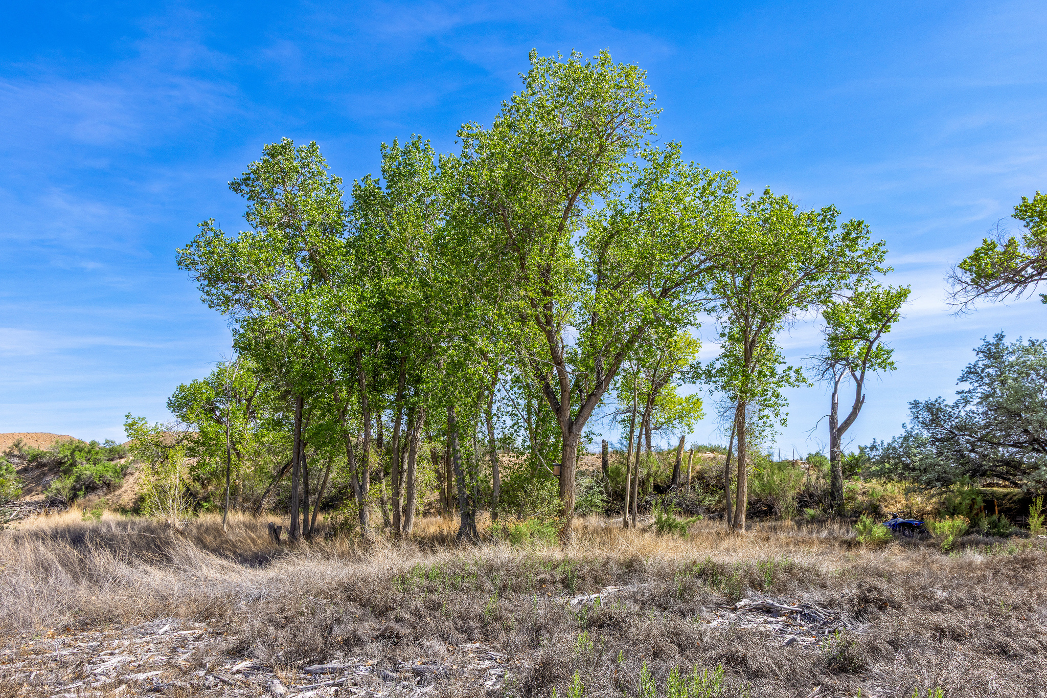 main property photo 27