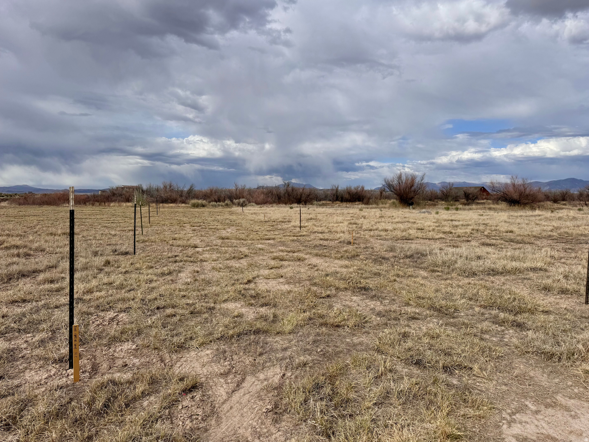 main property photo 49