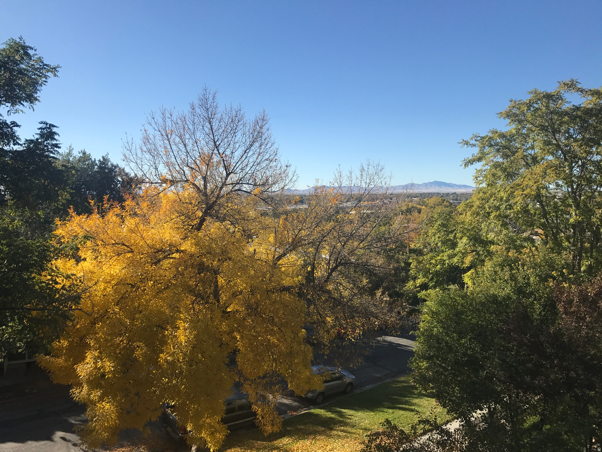 main property photo 15
