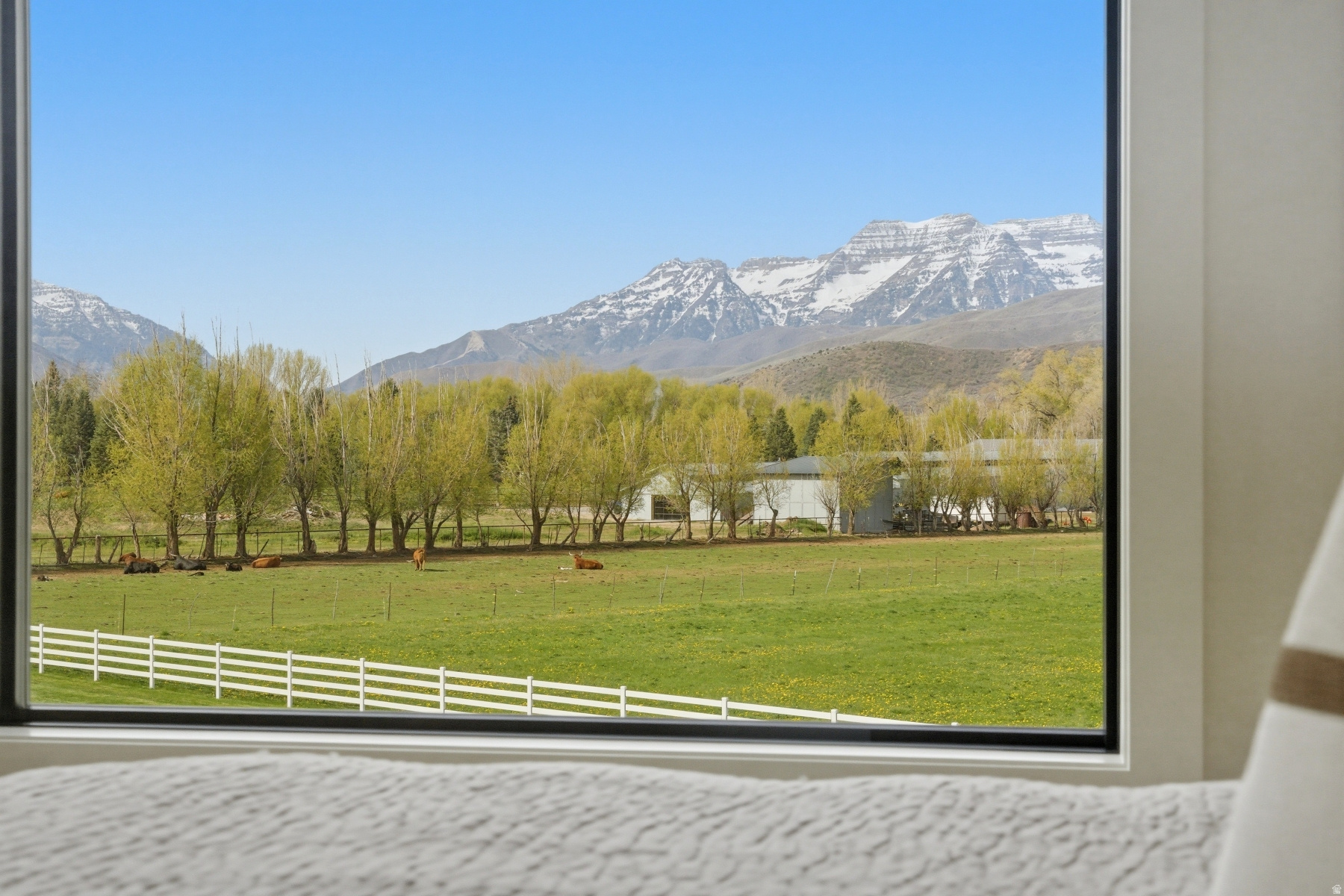 main property photo 51