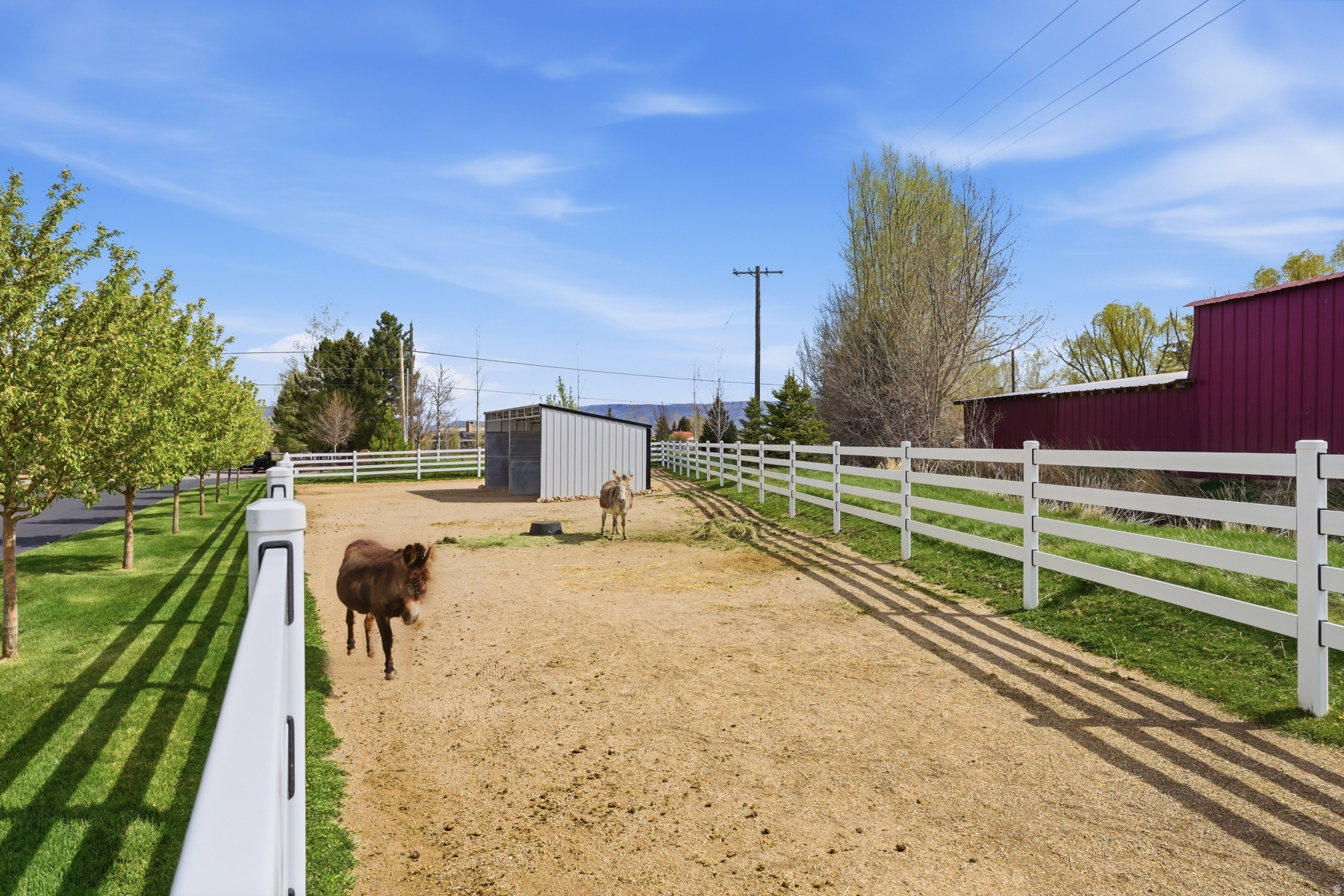main property photo 90