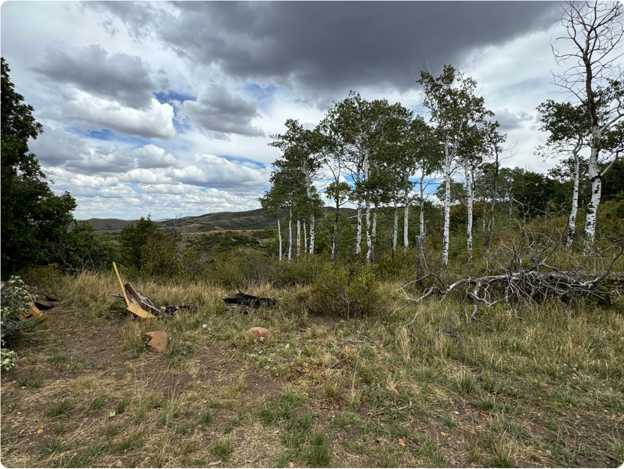 main property photo 39
