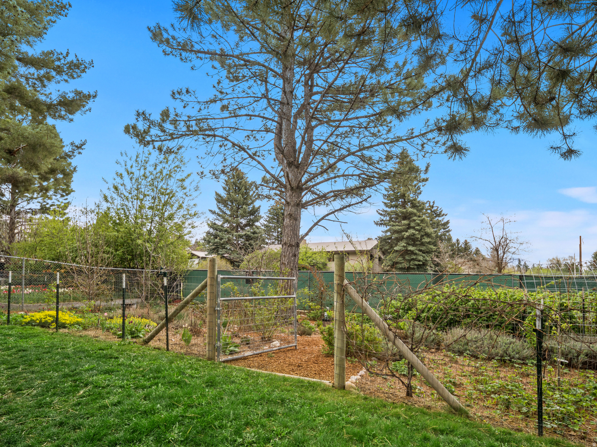 main property photo 53
