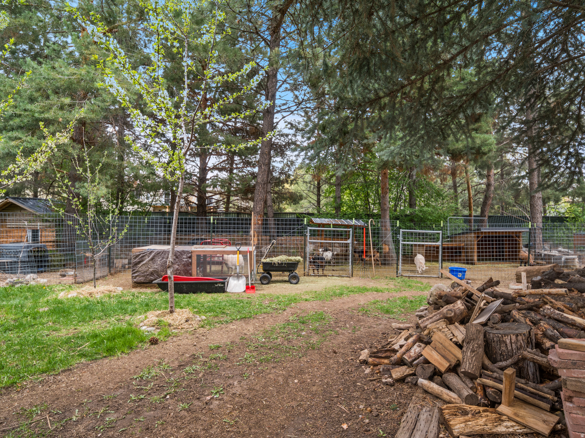 main property photo 58