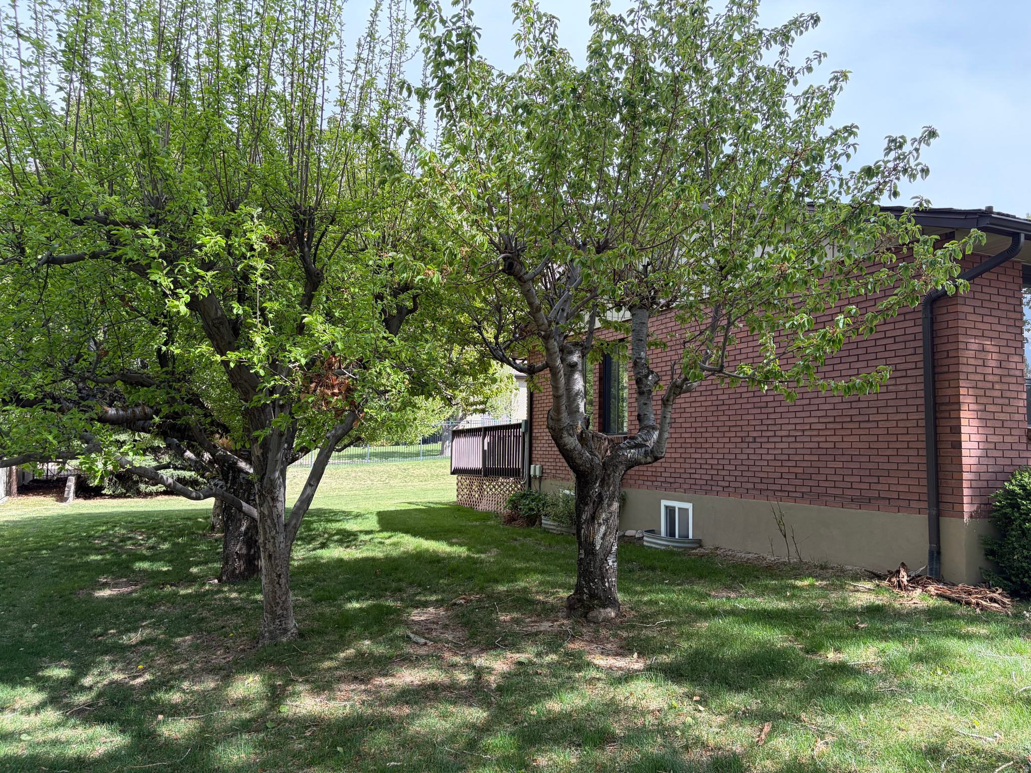 main property photo 53