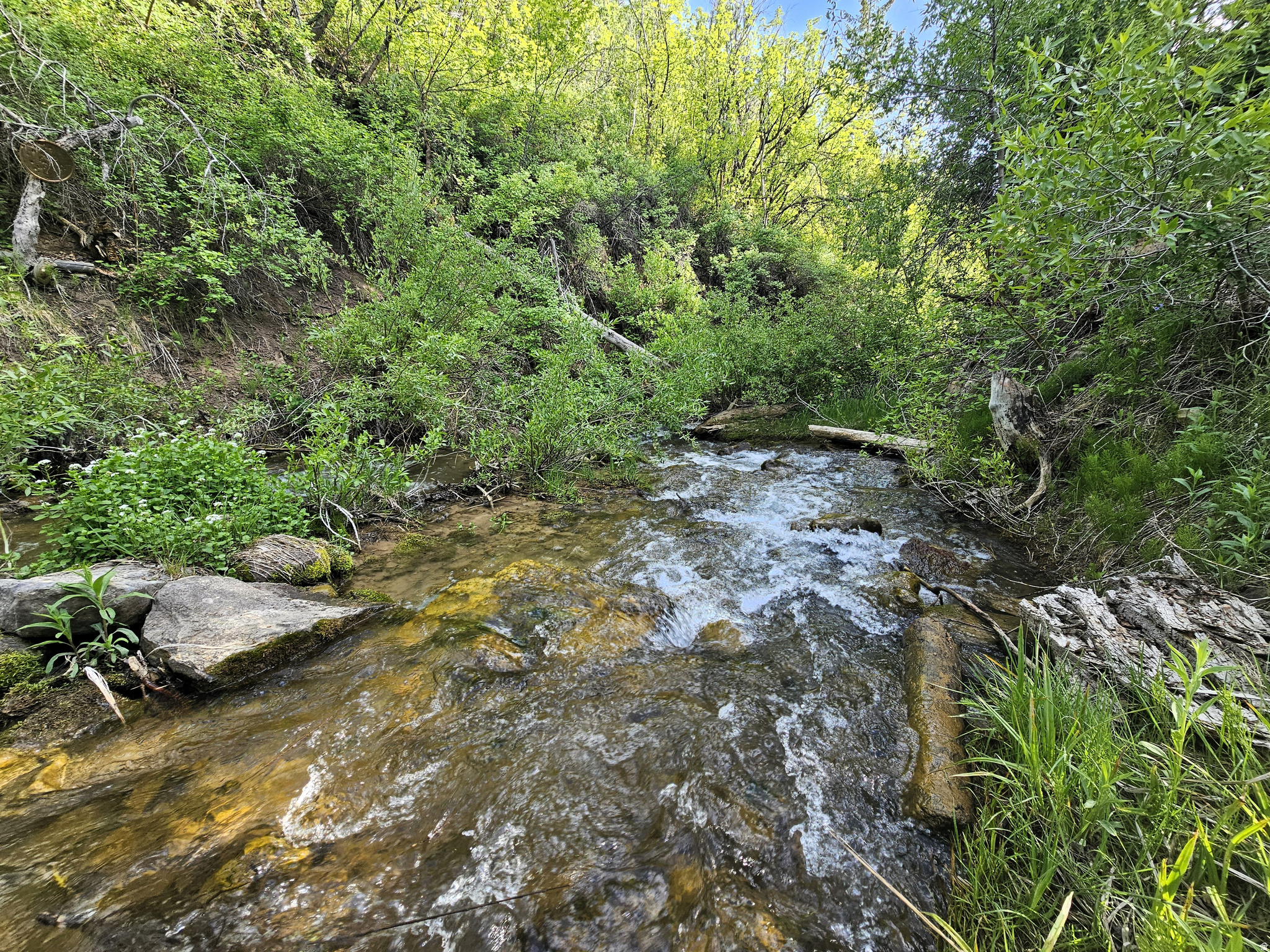 main property photo 14