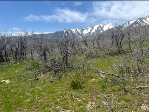 main property photo 68