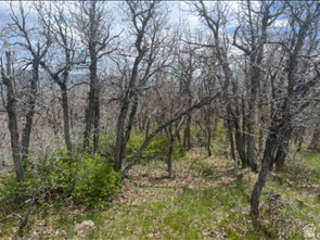 main property photo 69