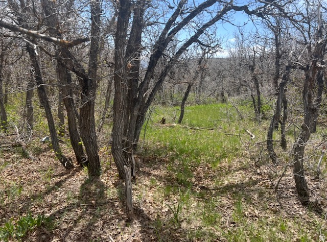 main property photo 70