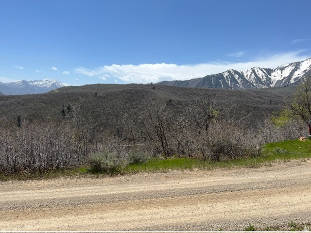 main property photo 74