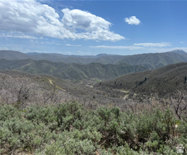 main property photo 79