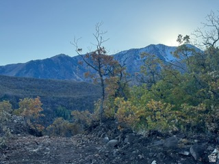 main property photo 82