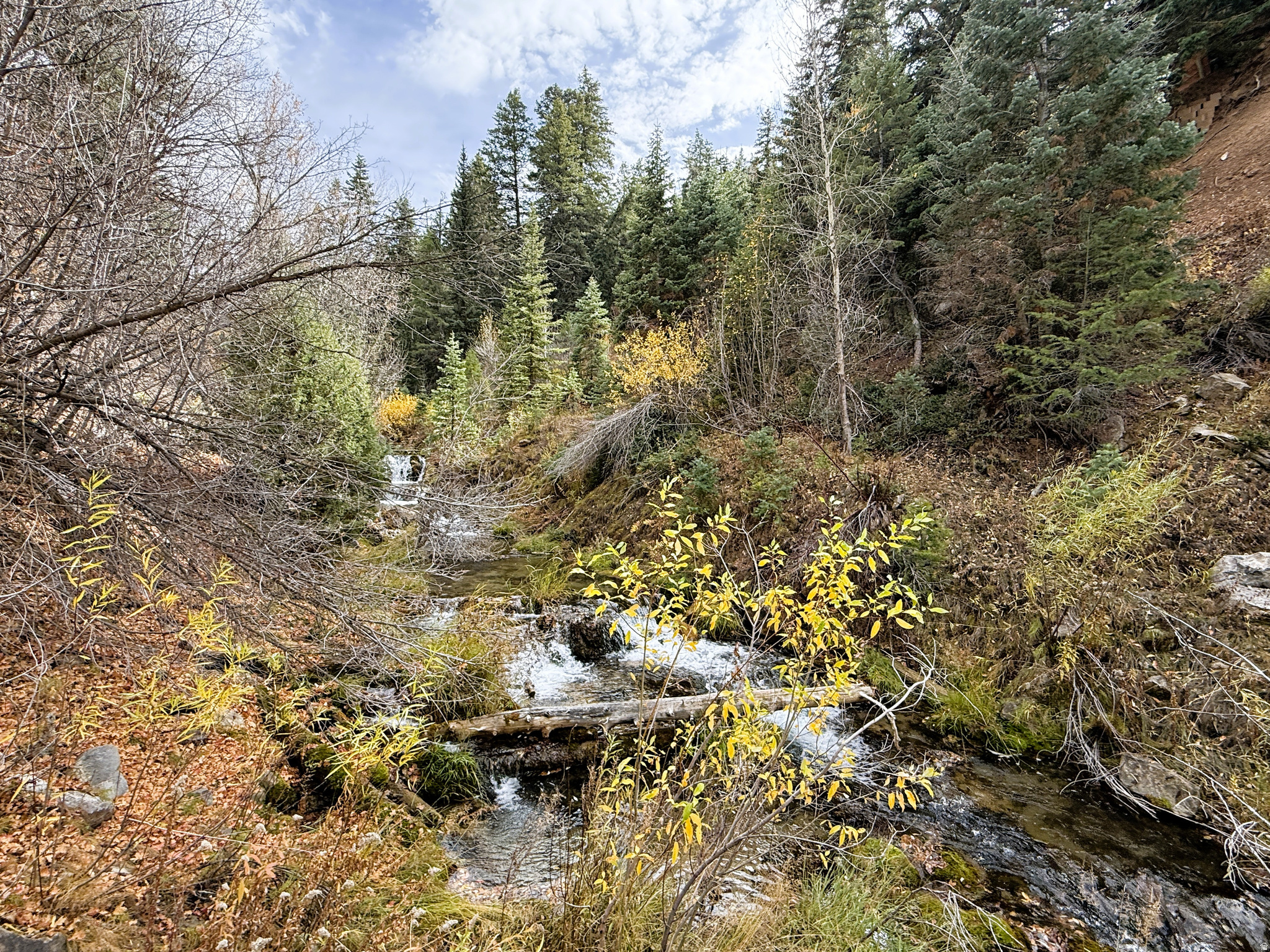 main property photo 9
