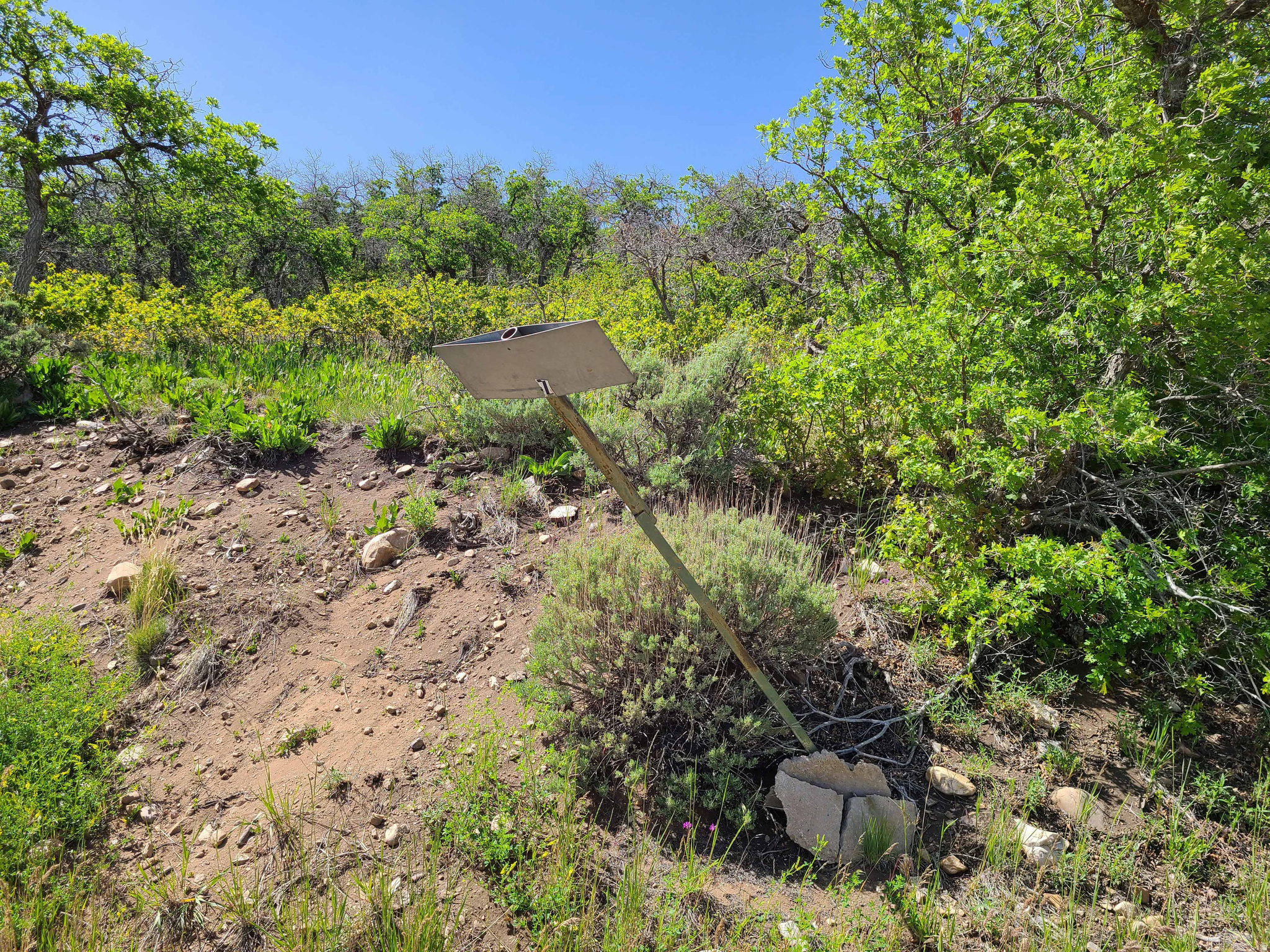 main property photo 10