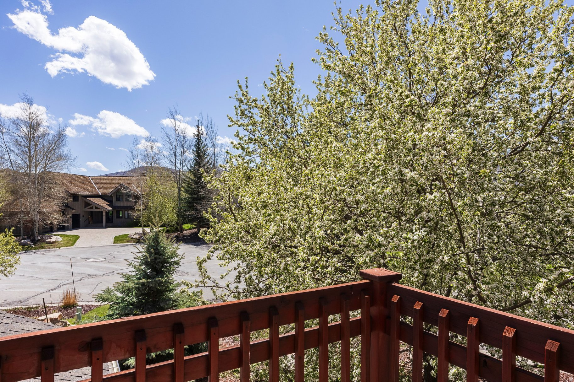 main property photo 62