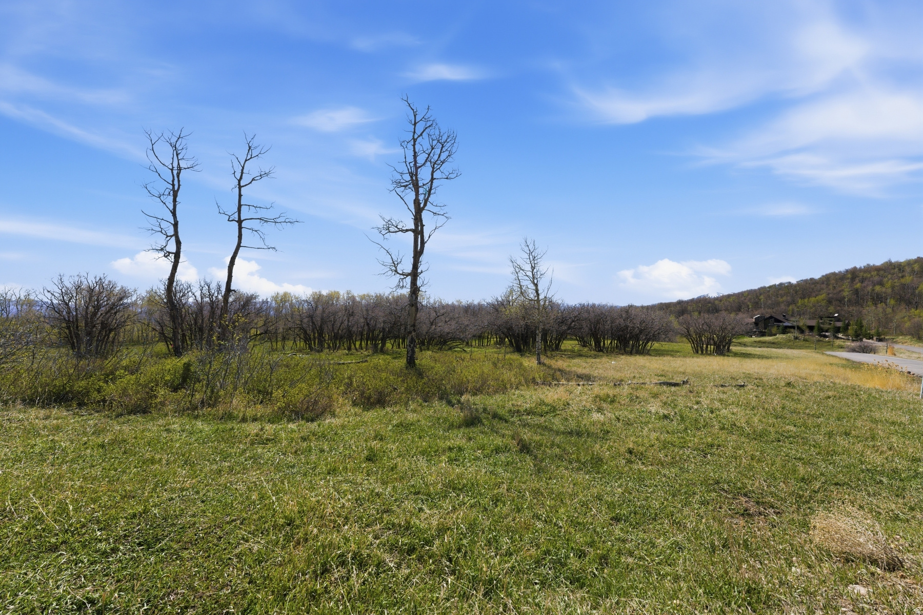 main property photo 19