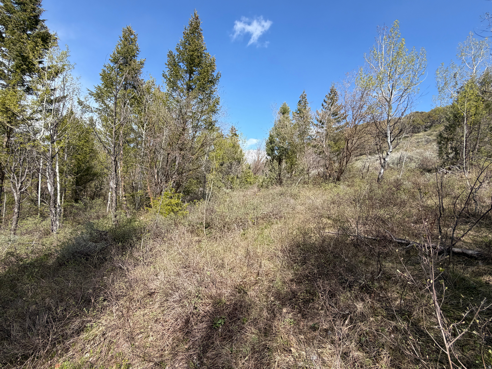 main property photo 11