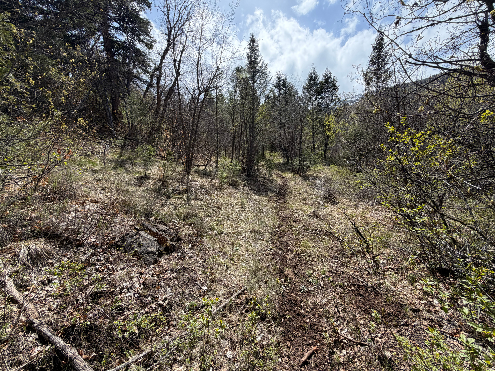 main property photo 12
