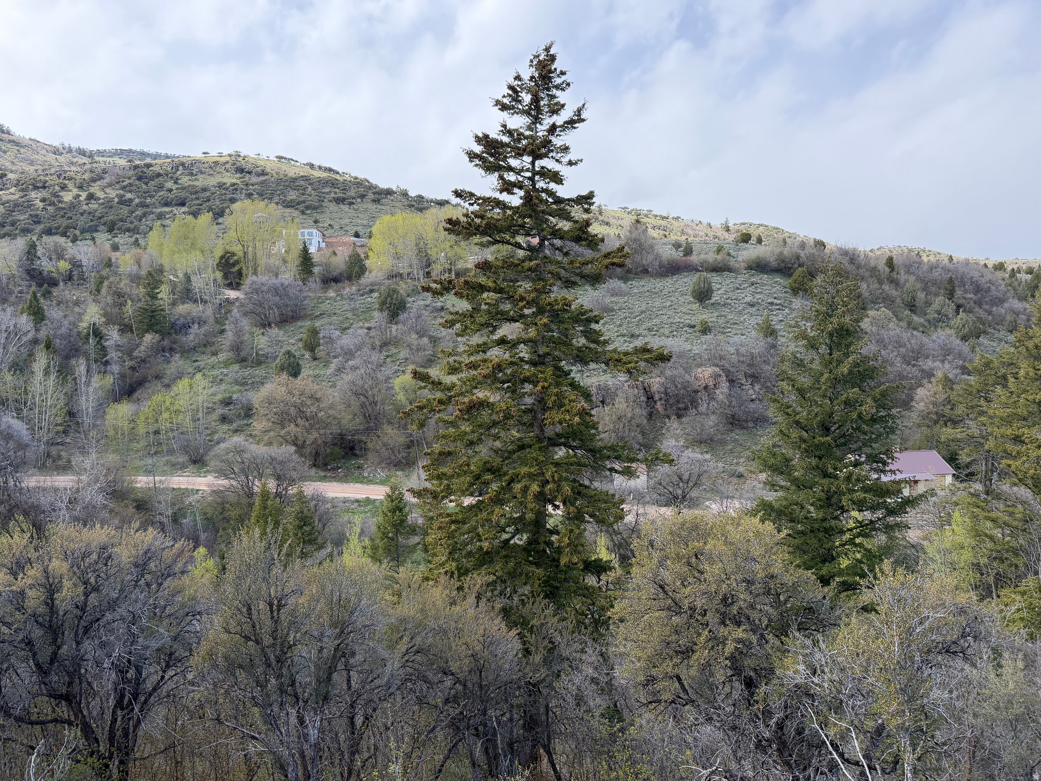 main property photo 18