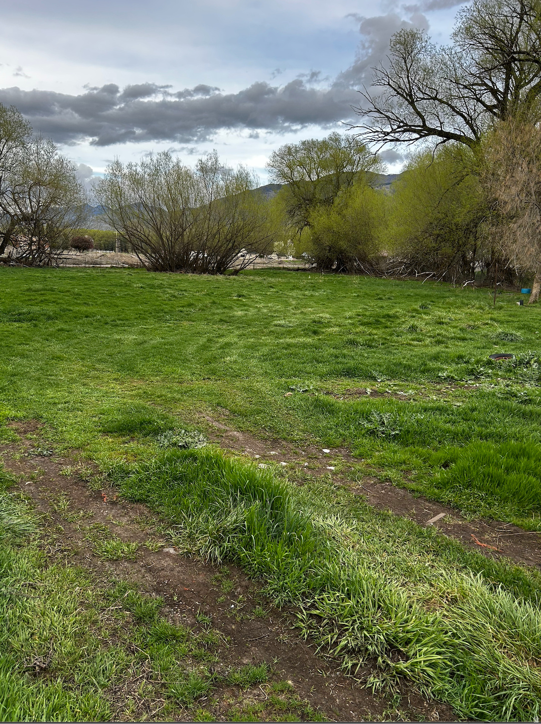 main property photo 2