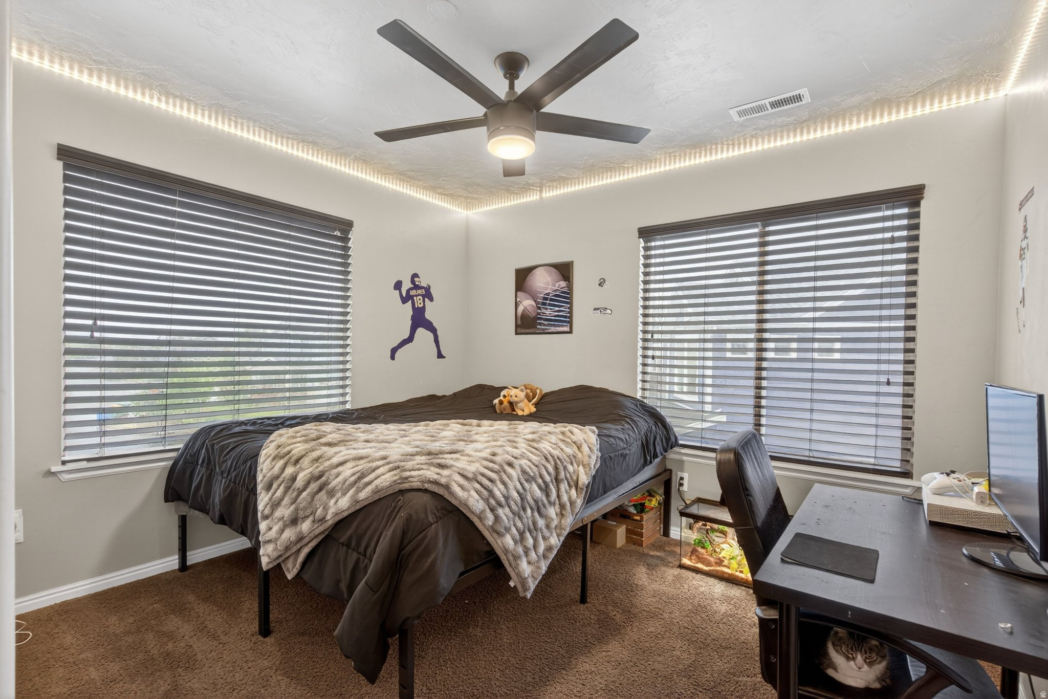 main property photo 32