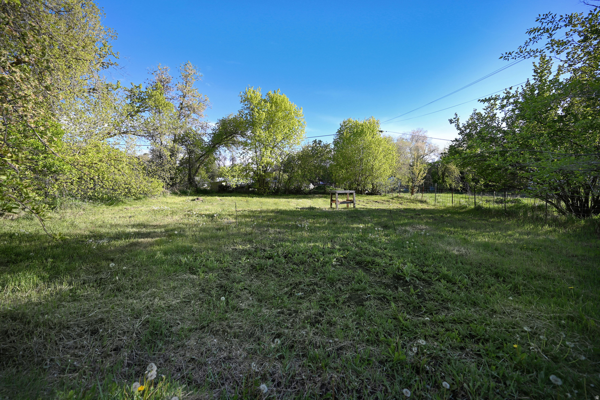 main property photo 37