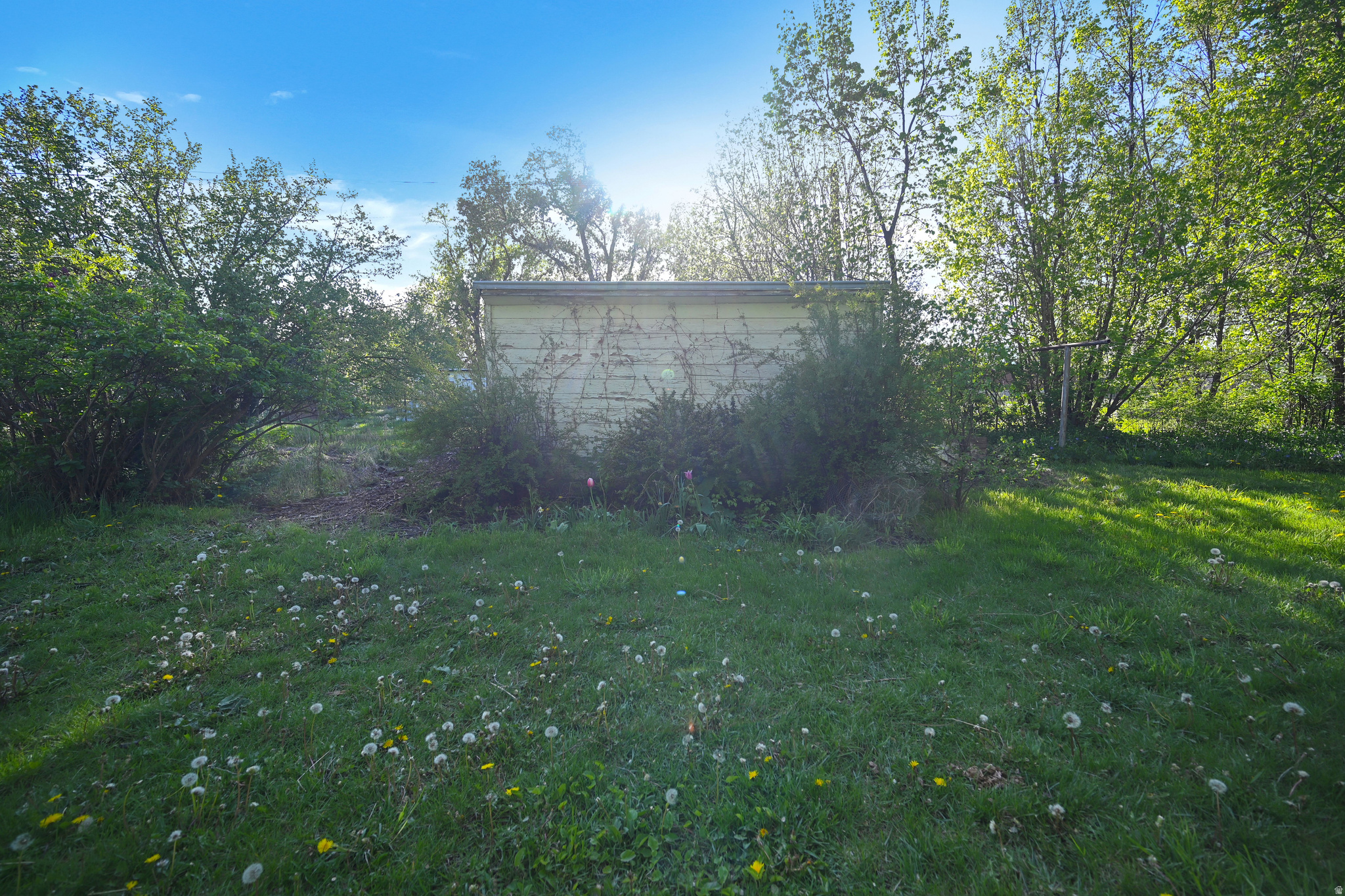 main property photo 38