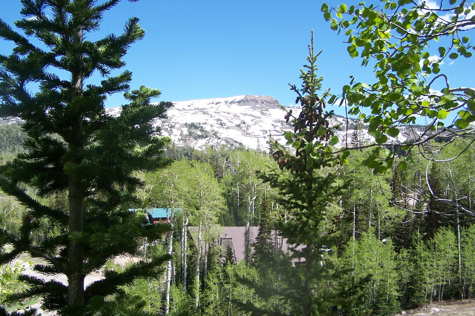 main property photo 14
