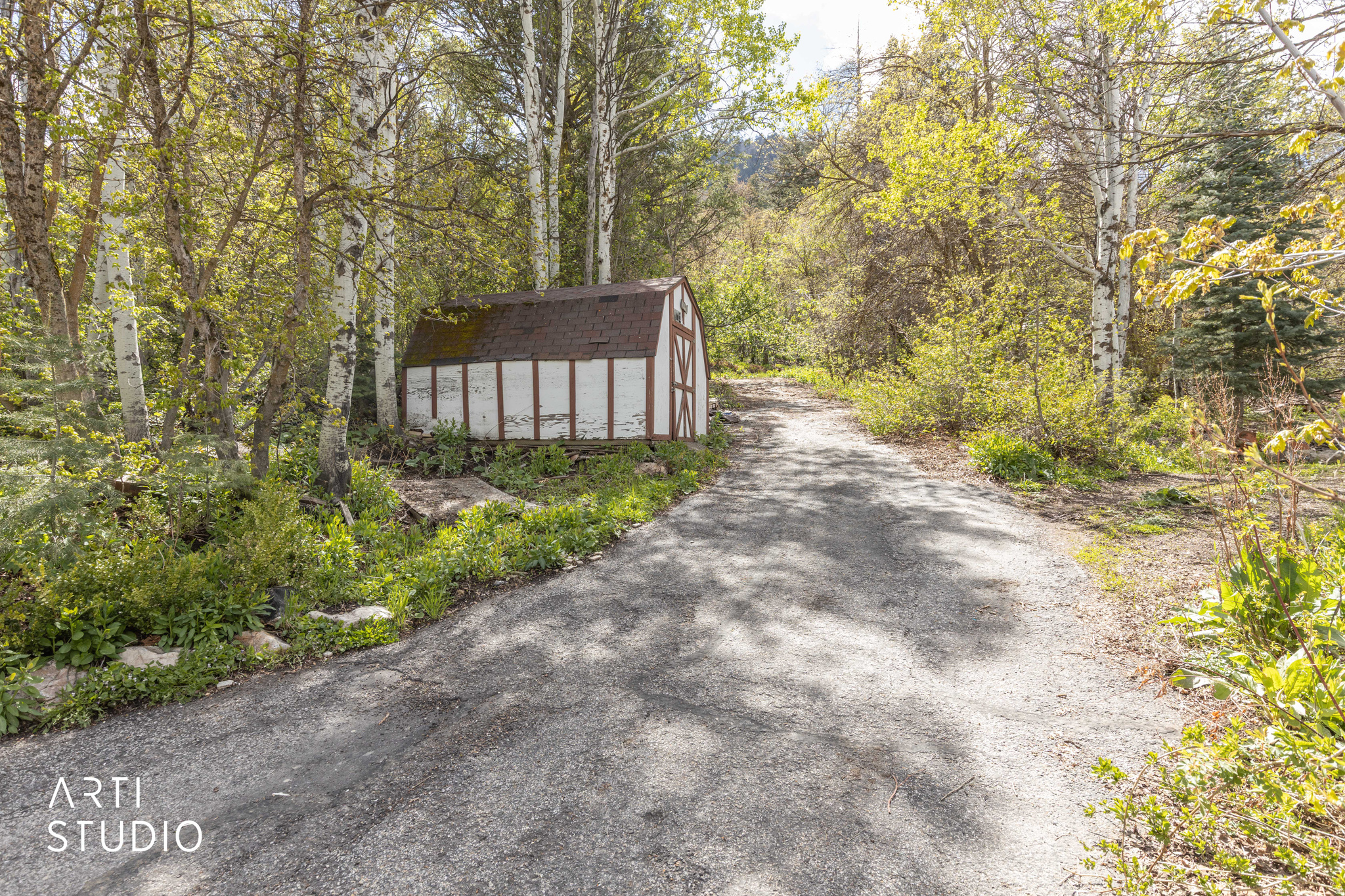 main property photo 53