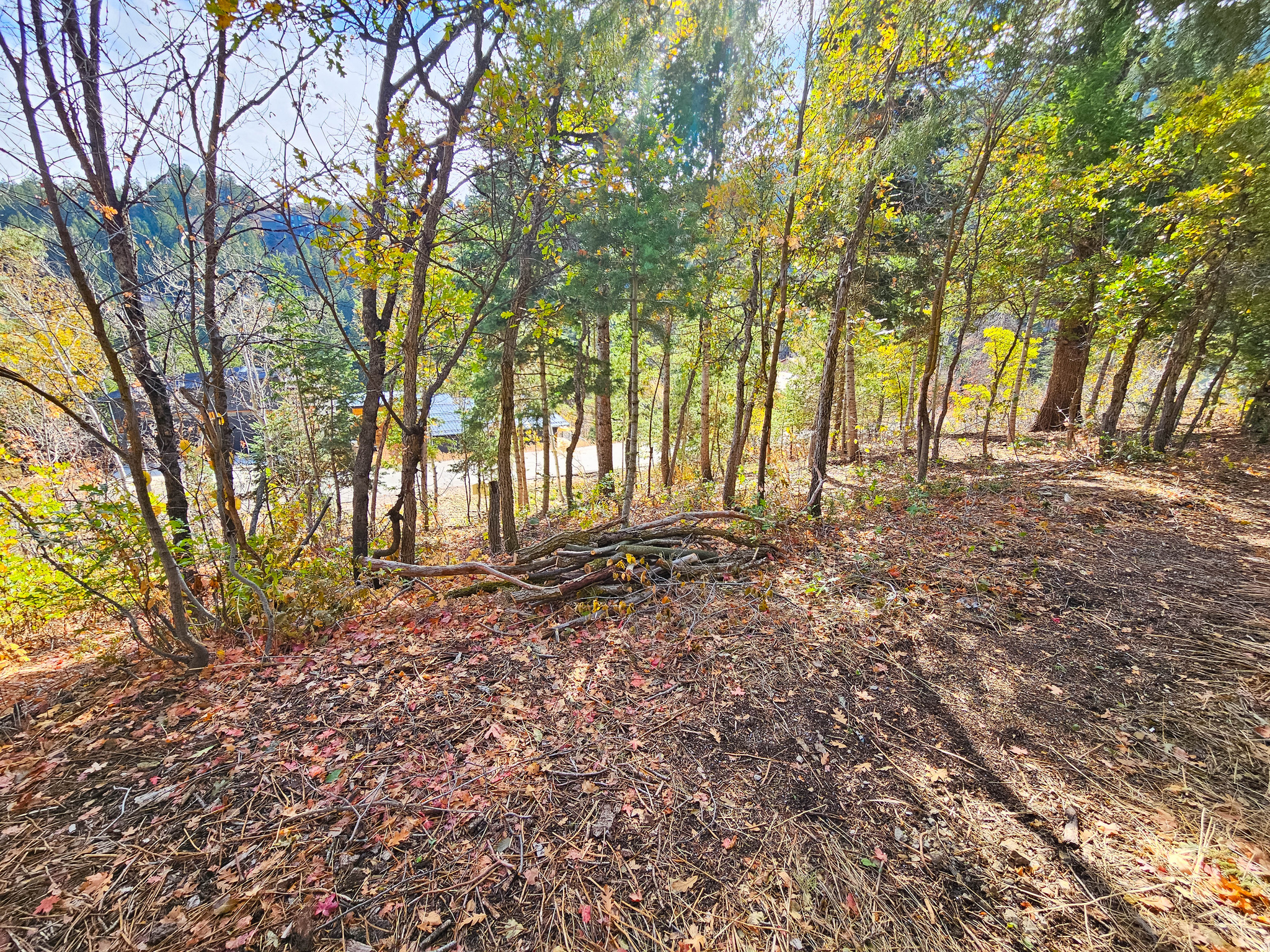 main property photo 14