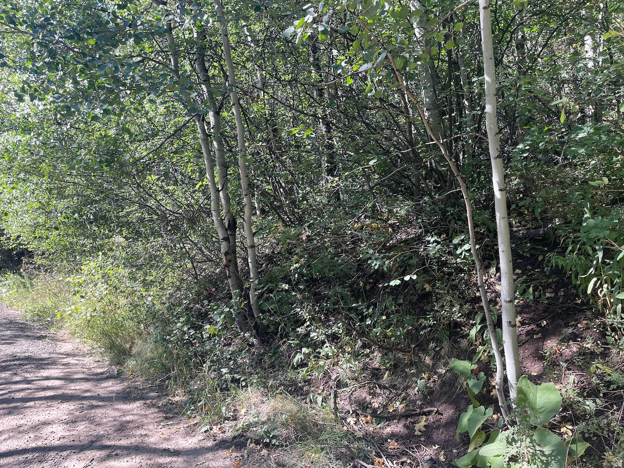 main property photo 9