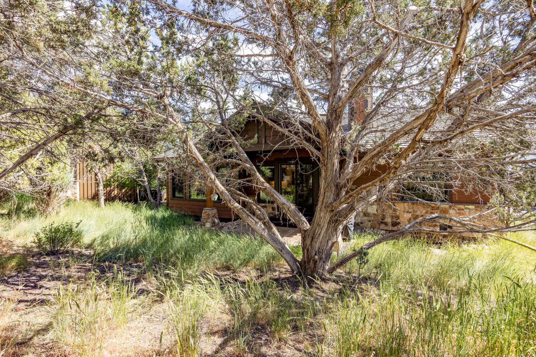 main property photo 57